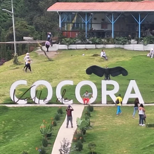 Cocora